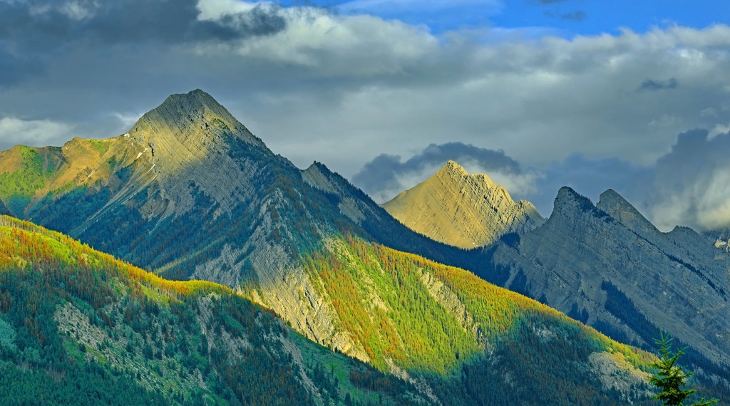 Colin Rangek, Alberta