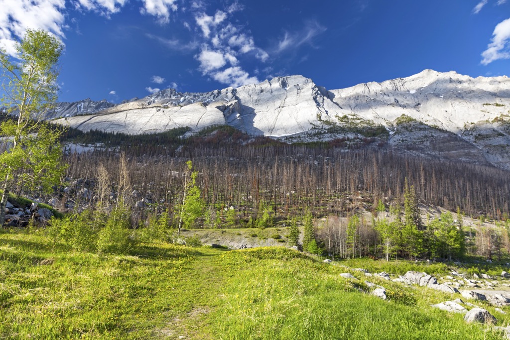 Colin Rangek, Alberta