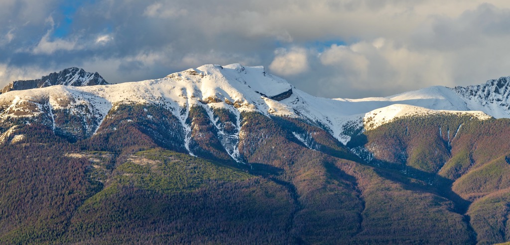 Colin Rangek, Alberta