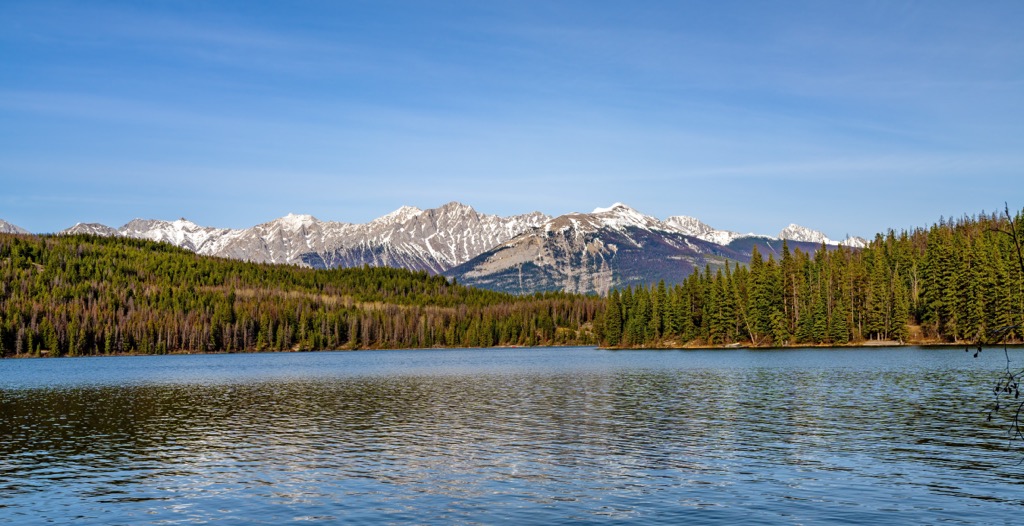 Colin Rangek, Alberta