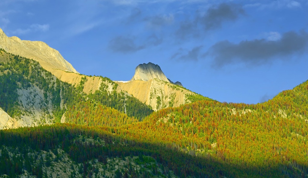 Colin Rangek, Alberta