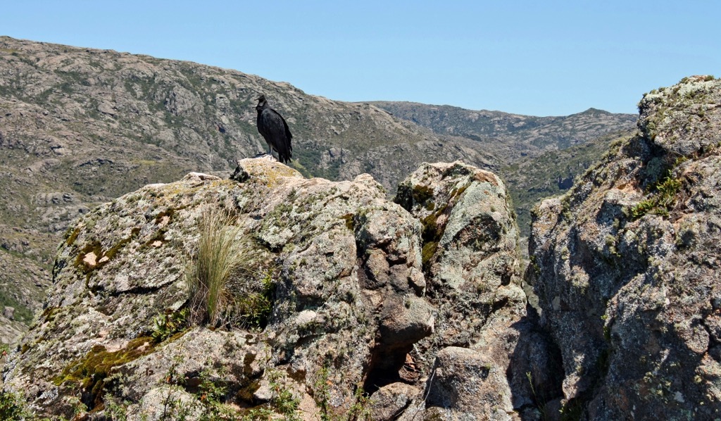 Condorito National Park, Córdoba, Argentina