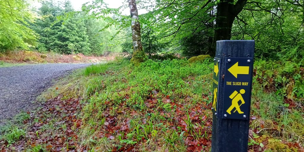 A trail marker for the Sligo Way near Ballygawley. County Sligo