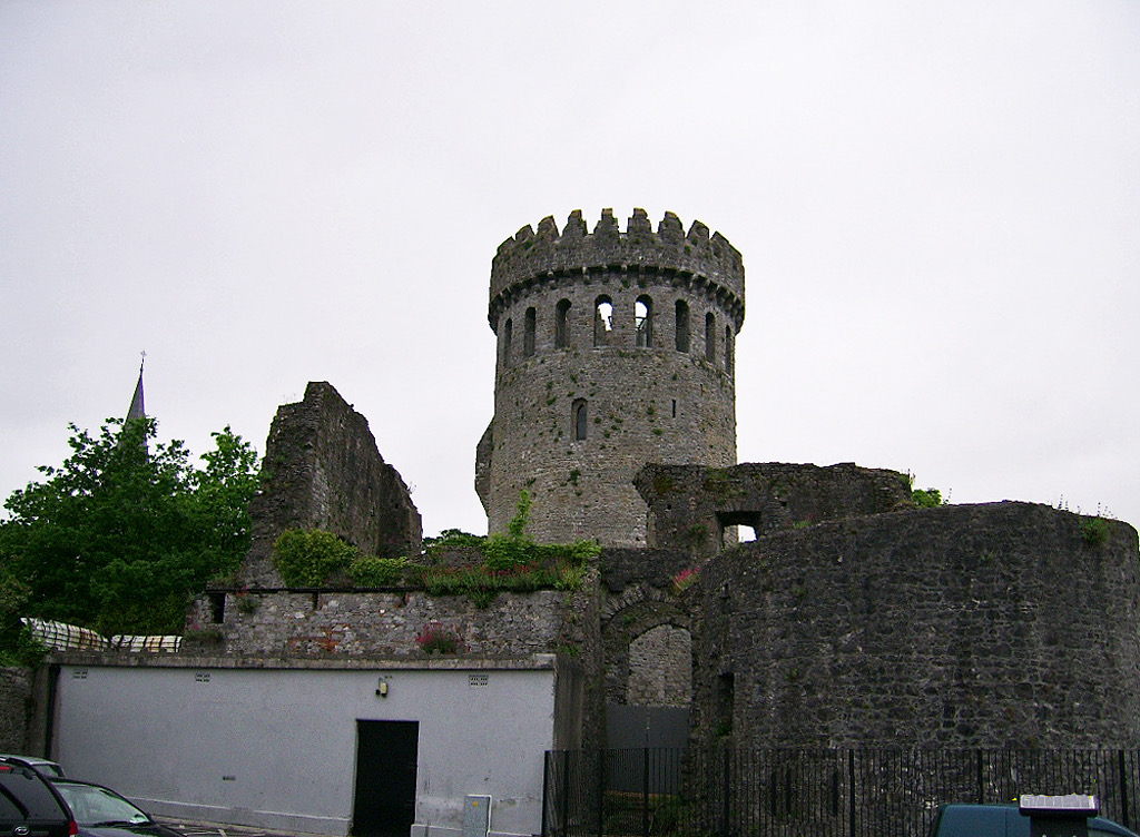 Nenagh Castle with its circular keep visible. County Tipperary
