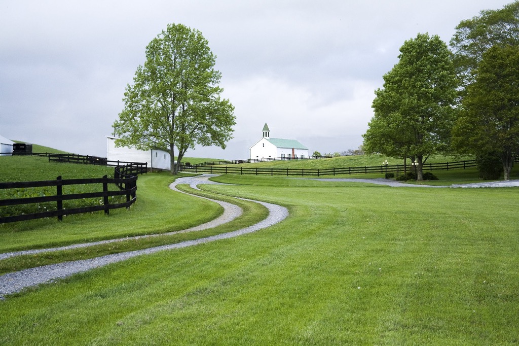 Cranberry Wildlife Management Area, West Virginia