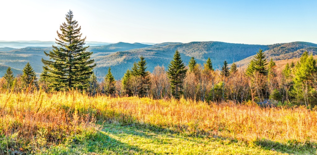 Cranberry Wildlife Management Area, West Virginia