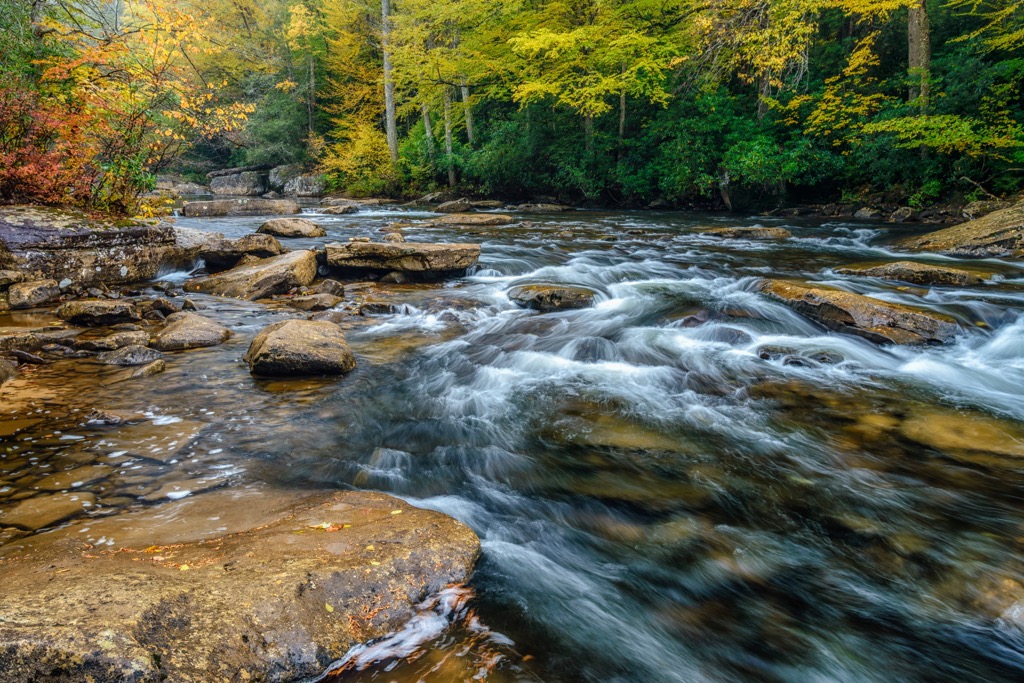 Cranberry Wildlife Management Area, West Virginia