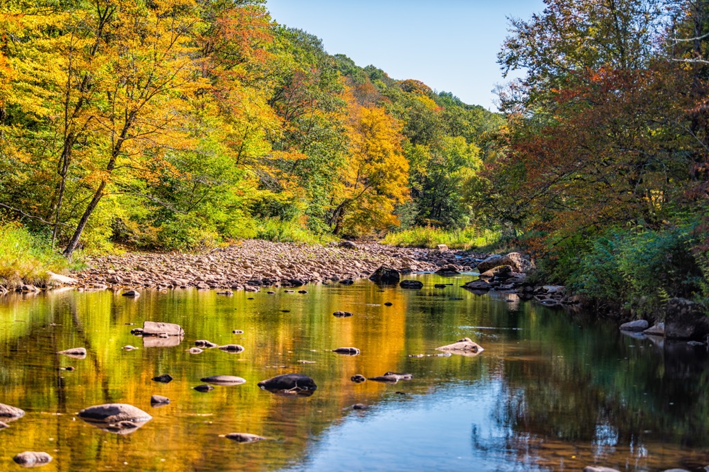 Cranberry Wildlife Management Area, West Virginia