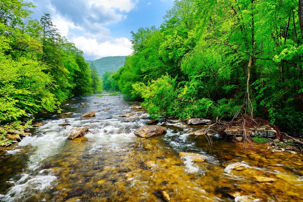 Cranberry Wildlife Management Area, West Virginia