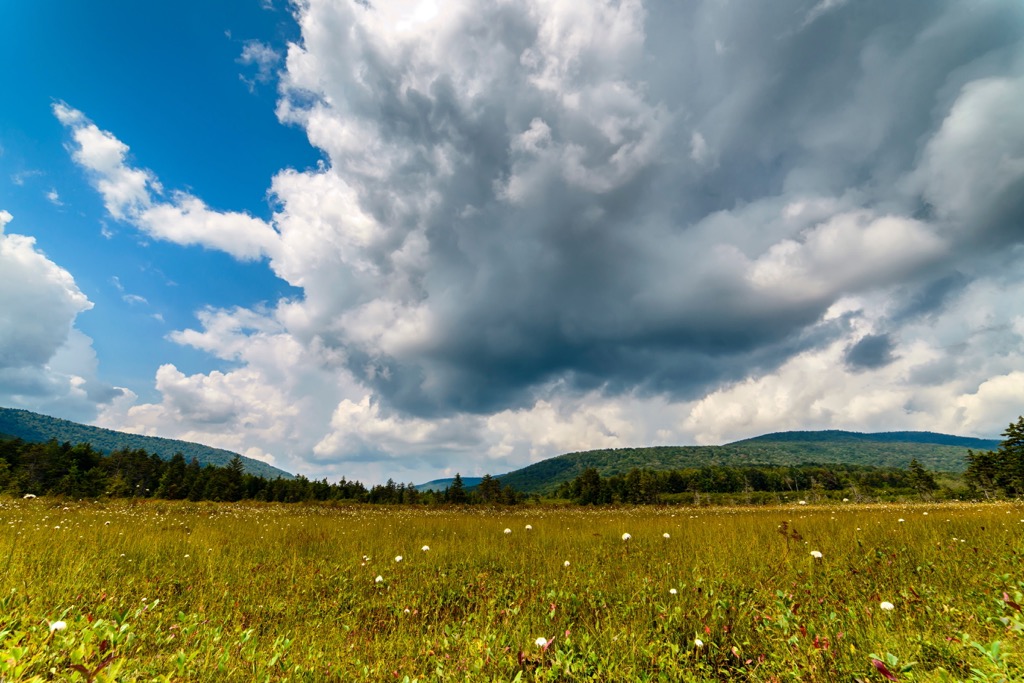 Cranberry Wildlife Management Area, West Virginia