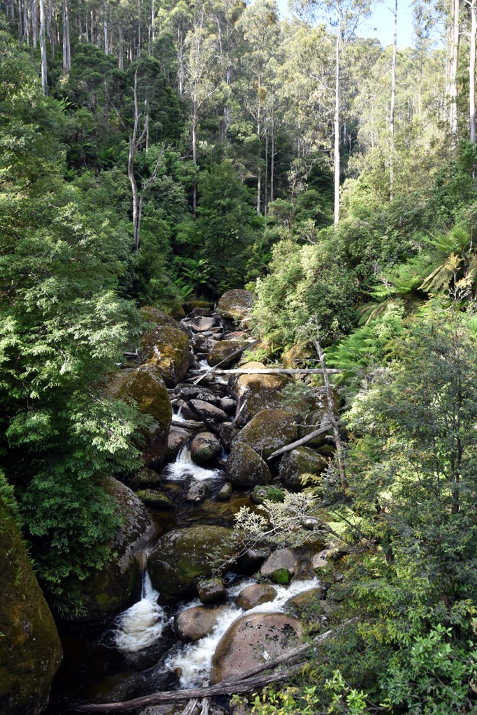 Creek, Baw Baw National Park, Victoria, Australia