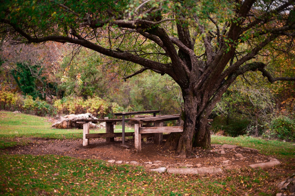 Dajti Mountain, Albania
