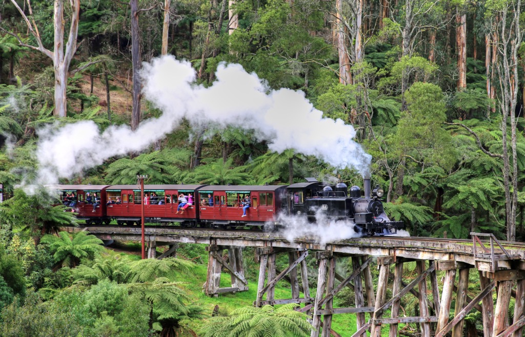 Dandenong Ranges National Park, Australia