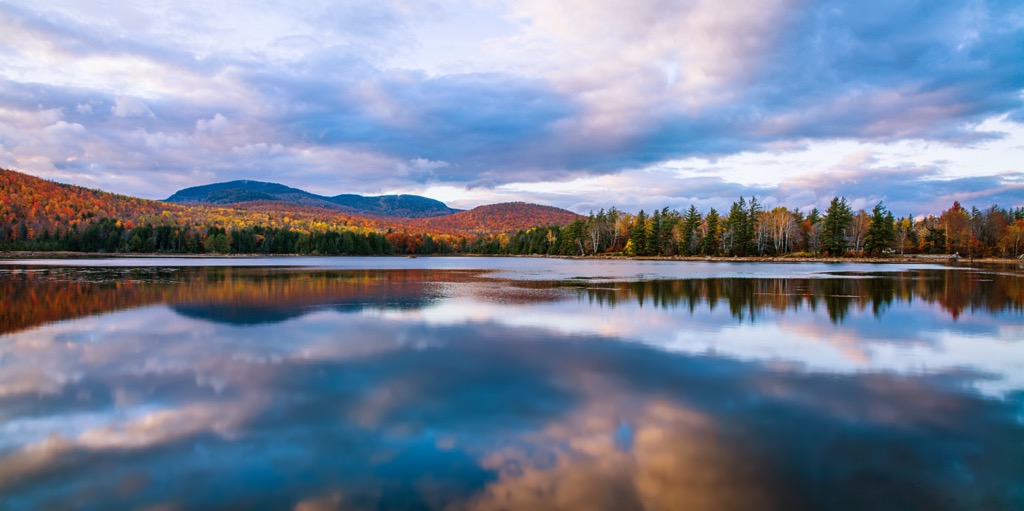 Debar Mountain Wild Forest, New York