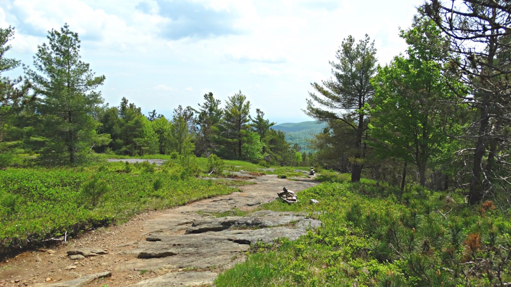 Debar Mountain Wild Forest, New York