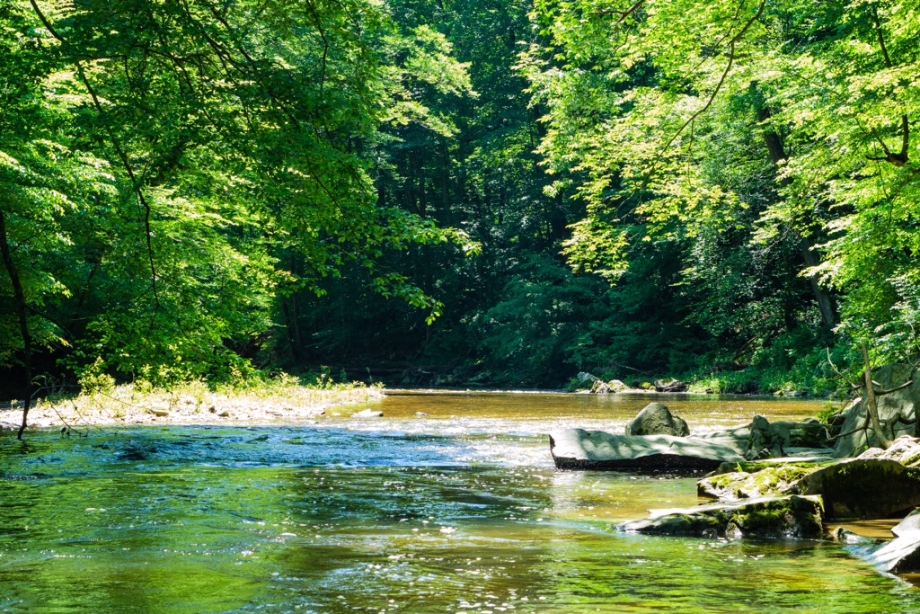 Delaware State Forest, Pennsylvania
