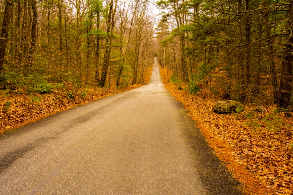 Delaware State Forest, Pennsylvania
