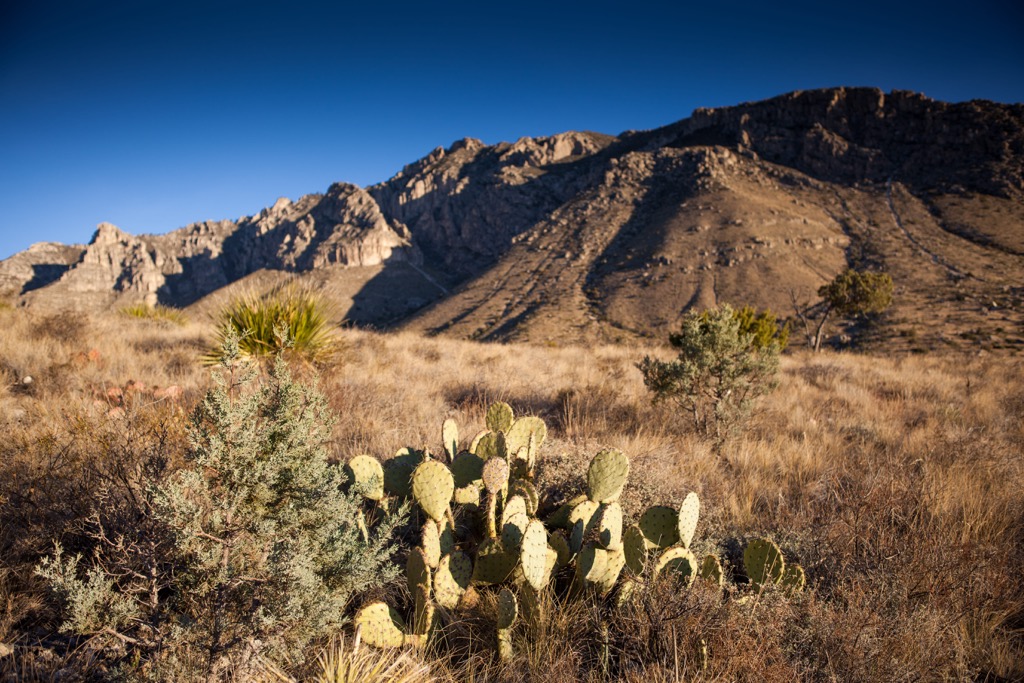Desert, Guadalupe Mountains, New Mexico, Texas, United States