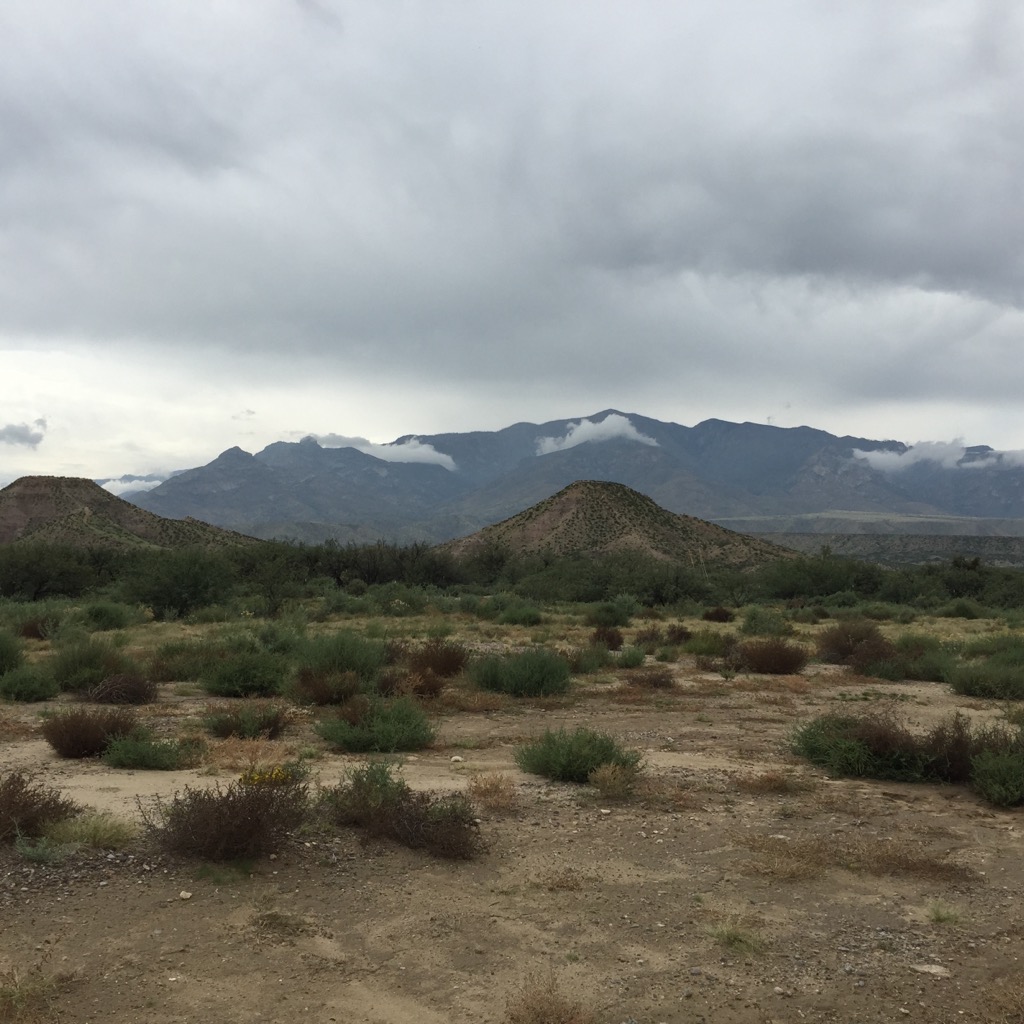 Desert and Mountain Graham, Pinaleno Mountains, Arizona, USA