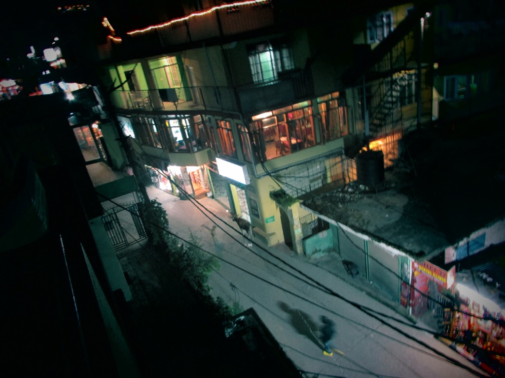 Dhauladhar Wildlife Sanctuary, Himachal Pradesh, India