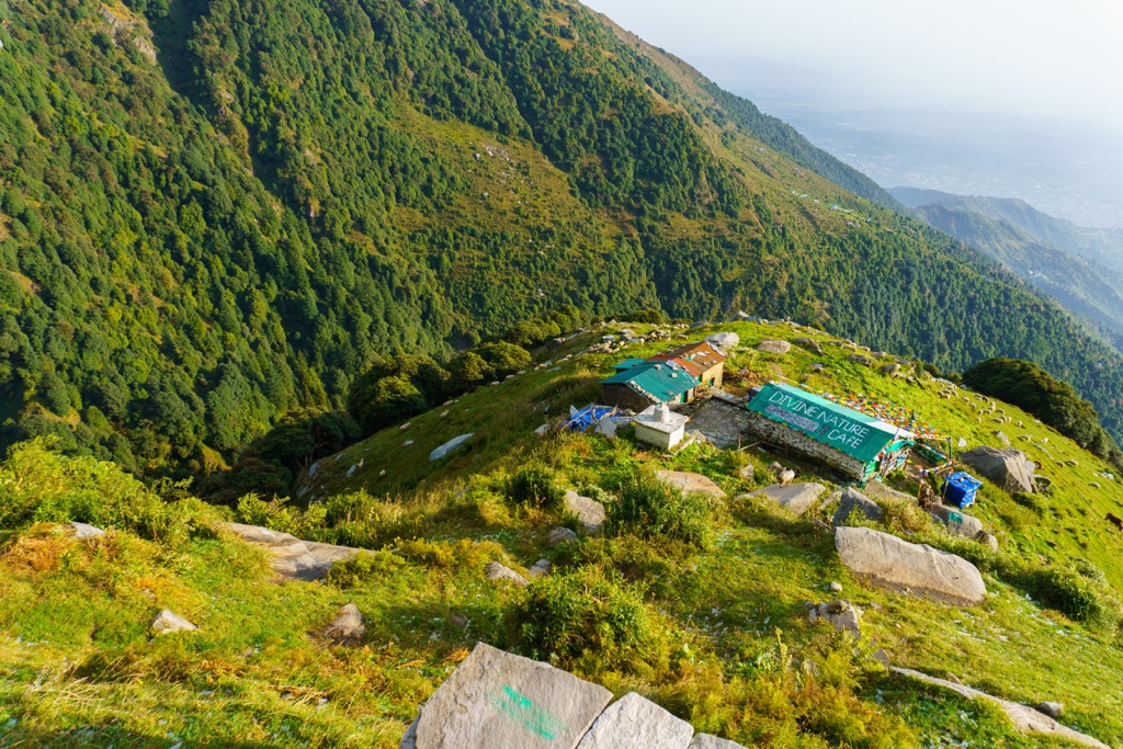 Dhauladhar Wildlife Sanctuary, Himachal Pradesh, India
