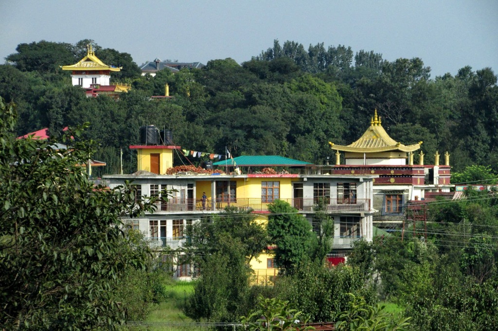 Dhauladhar Wildlife Sanctuary, Himachal Pradesh, India