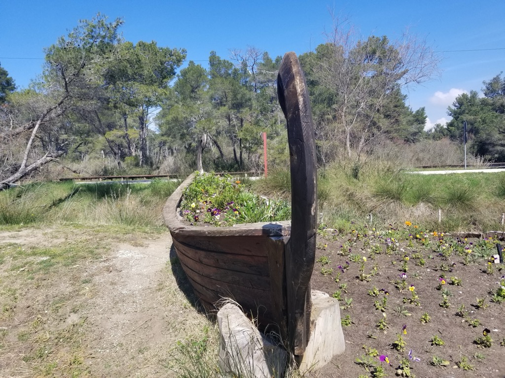 Divjaka-Karavasta National Park, Albania