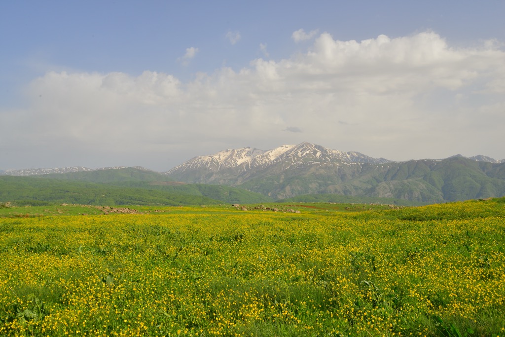 The Şenyayla Plateau in the Kulp District