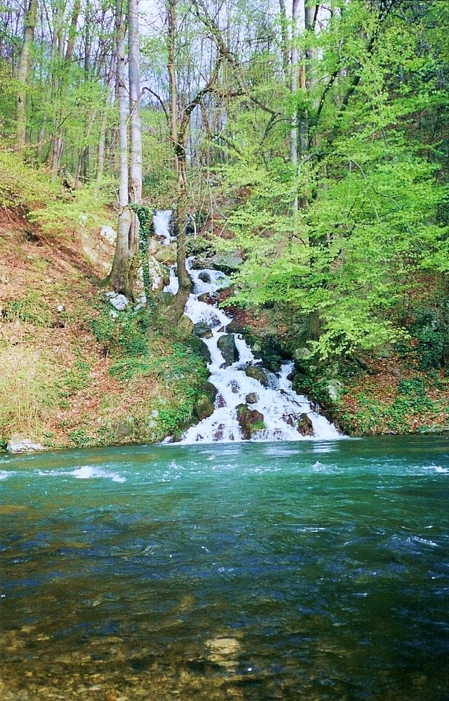 Aquatic ecosystems of Domogled-Valea Cernei. Domogled Valea Cernei