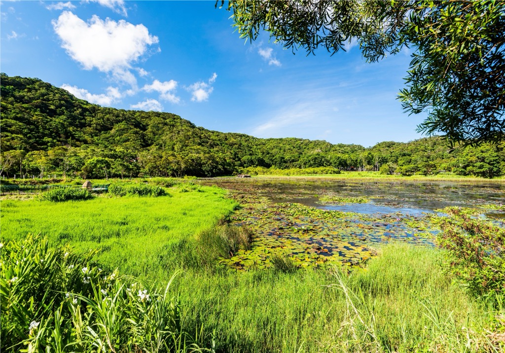 Dongyuan lake and forest, Dongyuan Forest Recreation Area, Taiwan