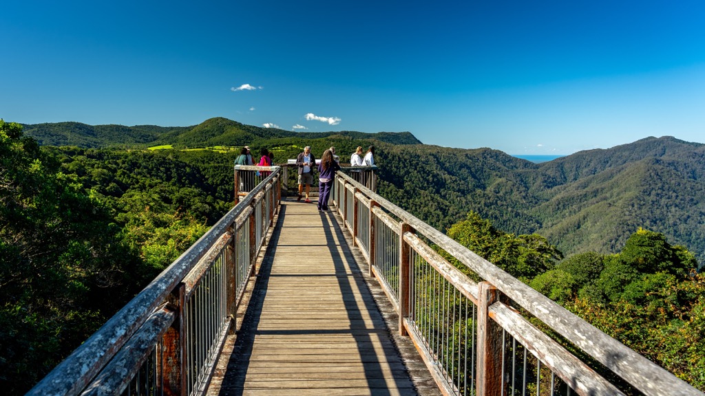 Dorrigo National Park