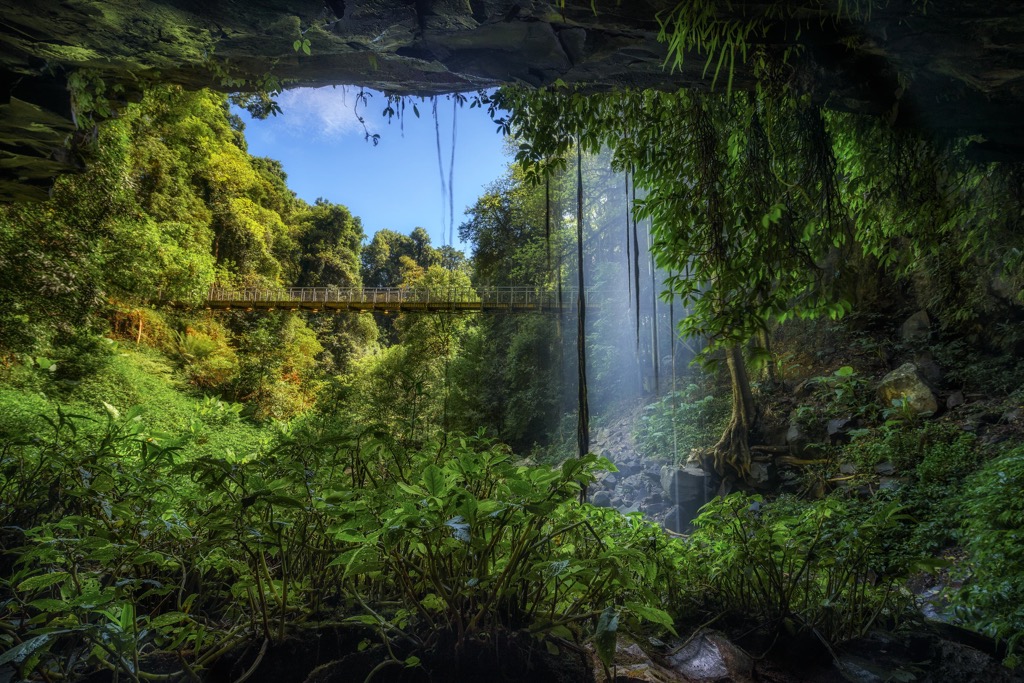 Dorrigo National Park, Australia