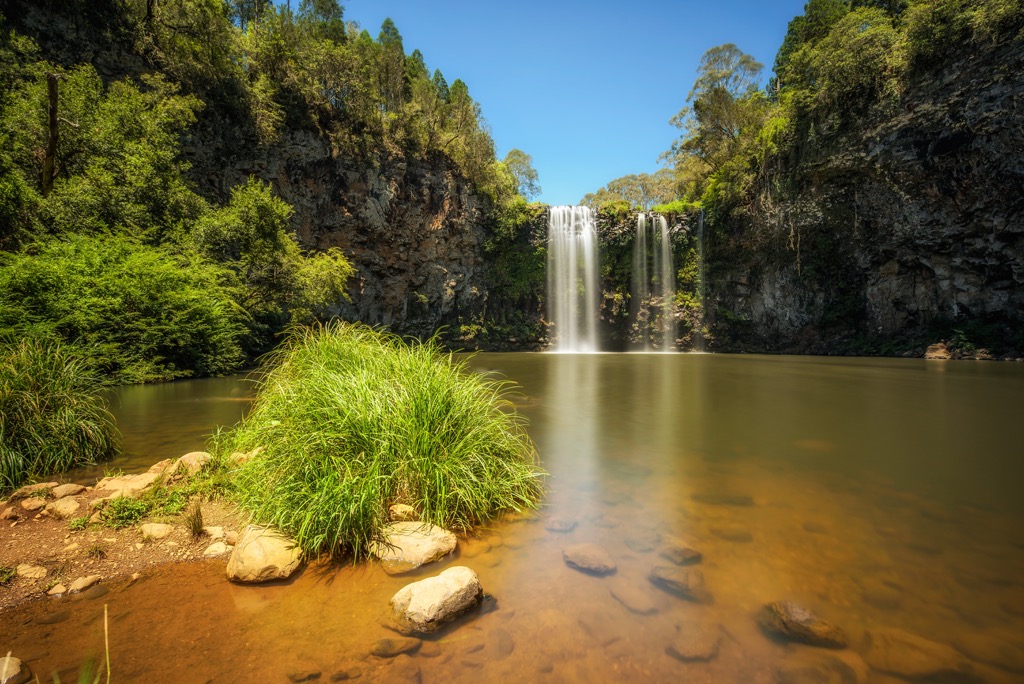Dorrigo National Park, Australia