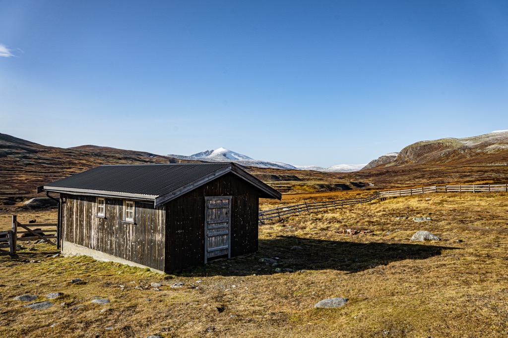 Dovrefjell-Sunndalsfjella National Park, Norway