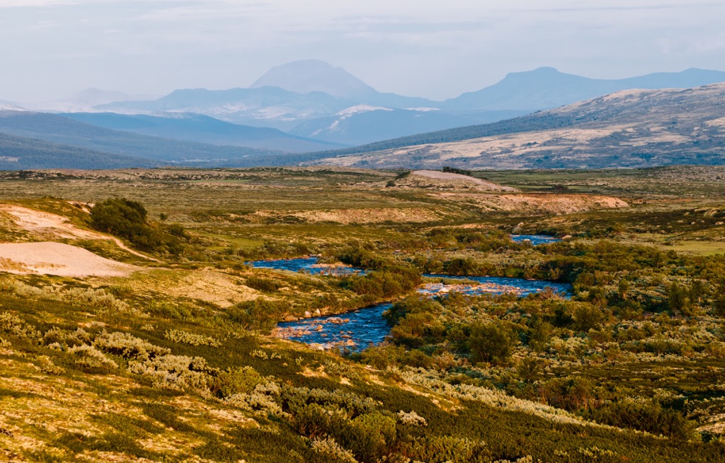 Dovrefjell-Sunndalsfjella National Park, Norway