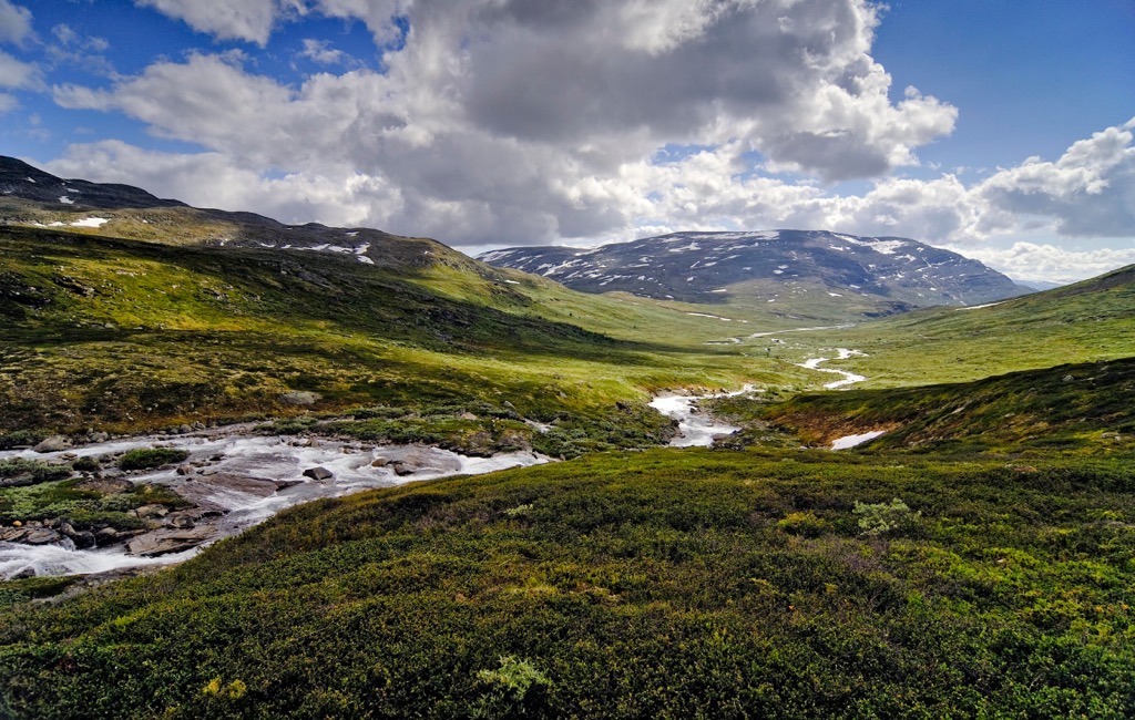 Dovrefjell-Sunndalsfjella National Park, Norway