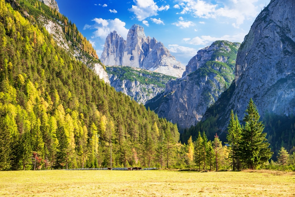 Drei Zinnen or Tre Cime di Lavaredo, Italy