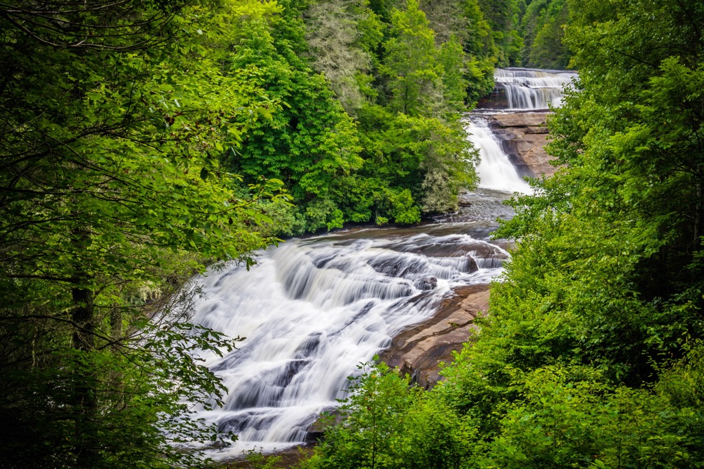 Dupont State Recreational Forest, North Carolina