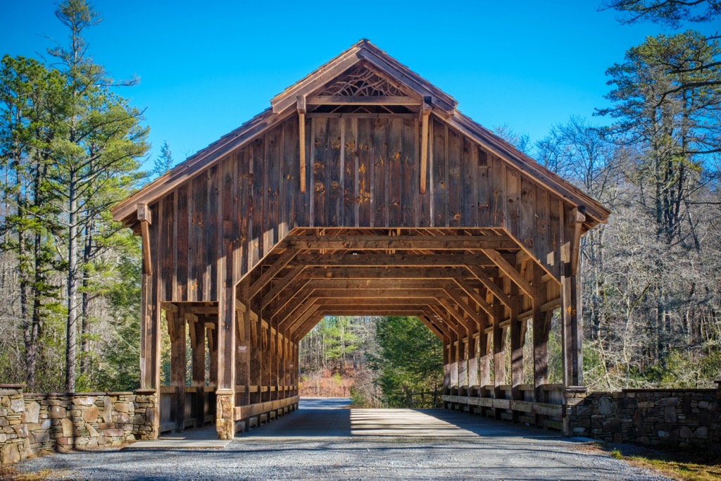 Dupont State Recreational Forest, North Carolina