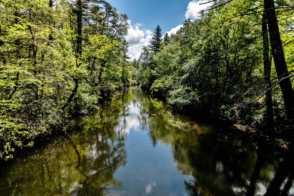 Dupont State Recreational Forest, North Carolina