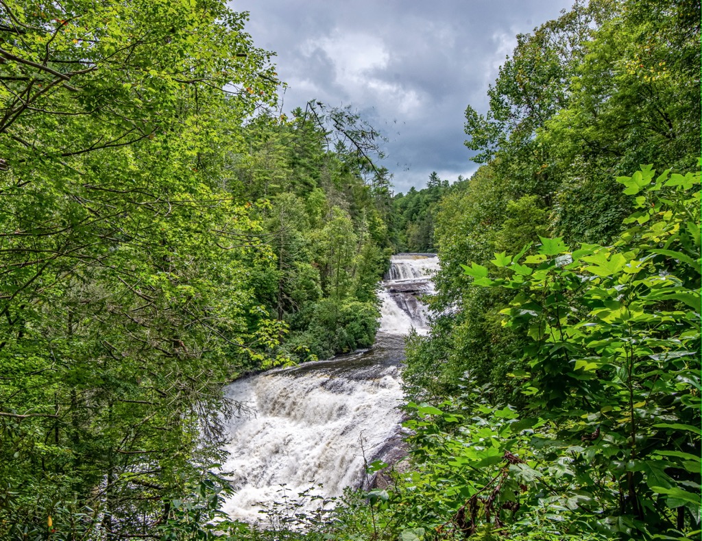 Dupont State Recreational Forest, North Carolina