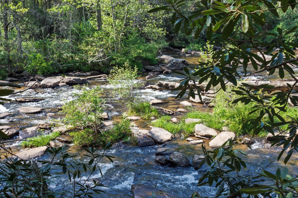 Dupont State Recreational Forest, North Carolina