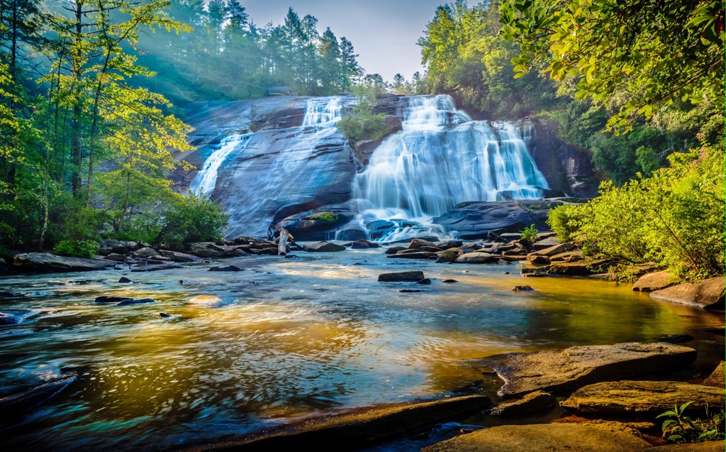 Dupont State Recreational Forest, North Carolina