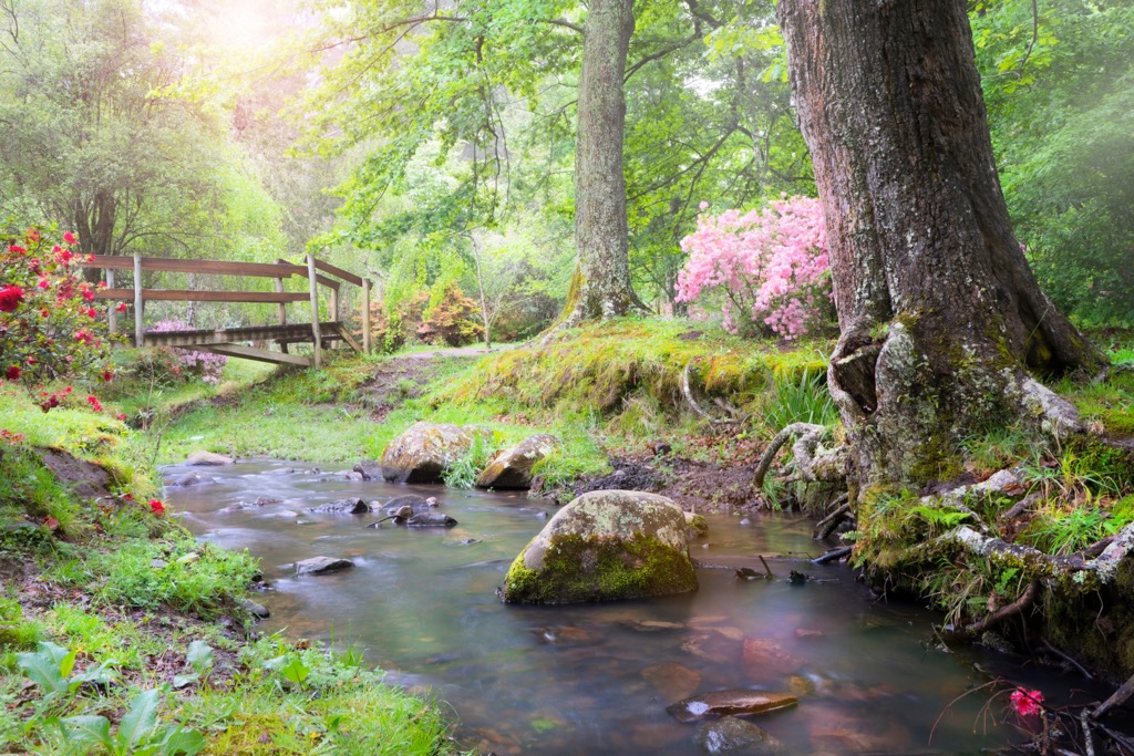 The Hogsback Arboretum concludes the epic Amathole Trail. The area harbors one of the Eastern Cape’s pockets of subtropical forest. Eastern Cape