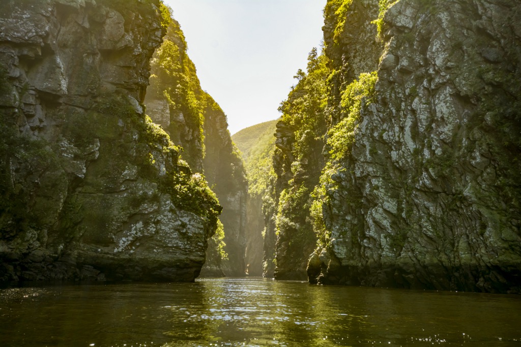 The Storms River Canyon, Eastern Cape. Eastern Cape