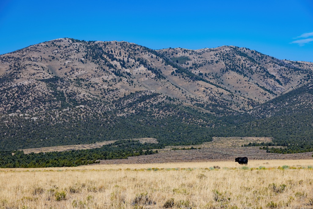 Egan Range, Nevada
