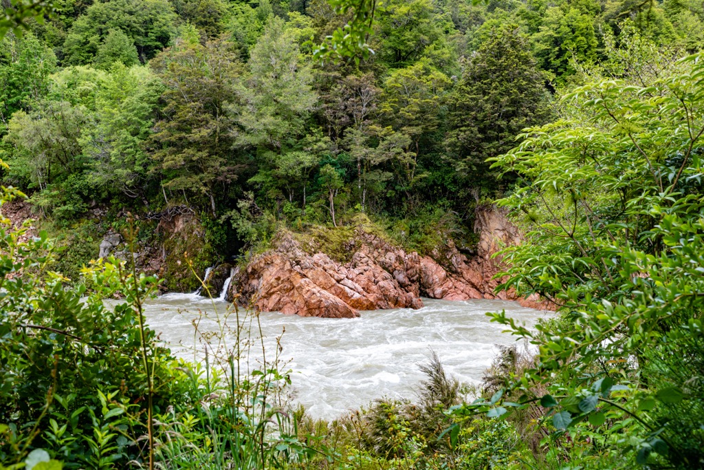  White Creek Faultline 1929, Egmont National Park, New Zealand