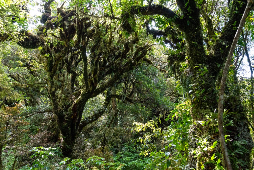 Egmont National Park