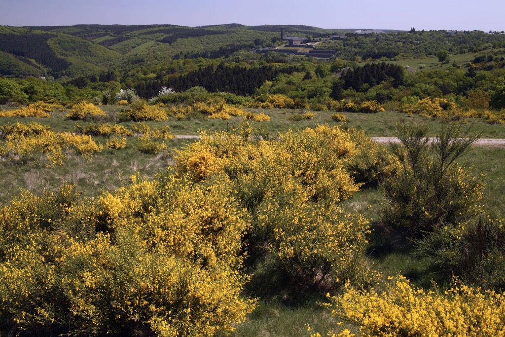 Eifel National Park, Germany