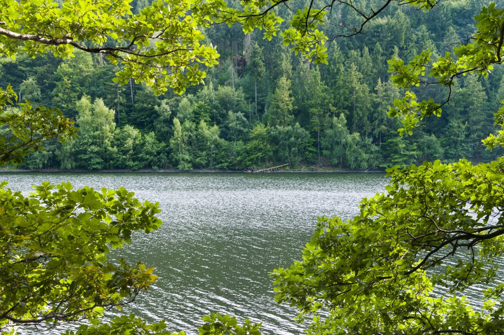 Eifel National Park, Germany